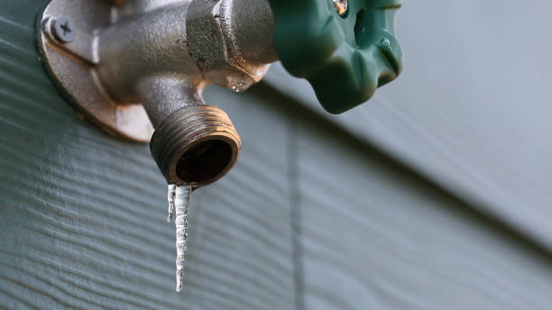 Best Commercial Plumbing Services  in Massanetta Springs, VA
